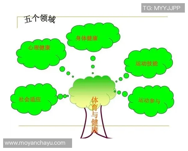 中年人如何科学安排体育锻炼提升身体素质与心理健康的有效策略与建议